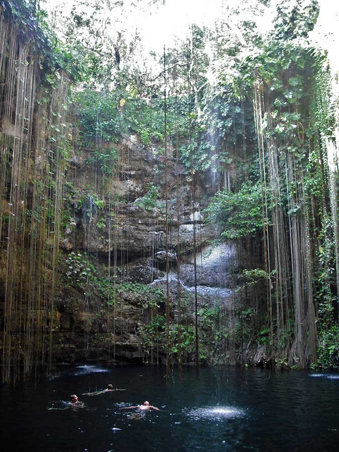 Best Cenotes in the Yucatan Cenote Ik Kil view from the bottom