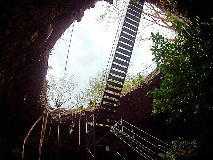 Cenote Kankirixche showing the ladder coming down through the cavern roof