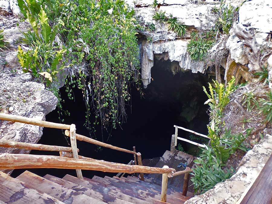 Cenote Kankirixche showing the ladder down to the water