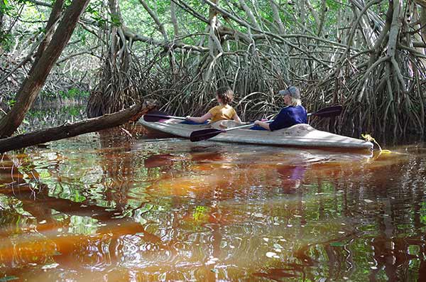 Celestun-Kayaking in the mangroves