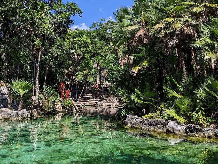 Cenote Yax Kin beautiful grounds with butterflies and birds