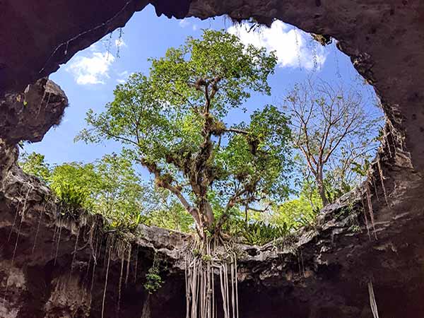 Stunning cenote in the yucatan