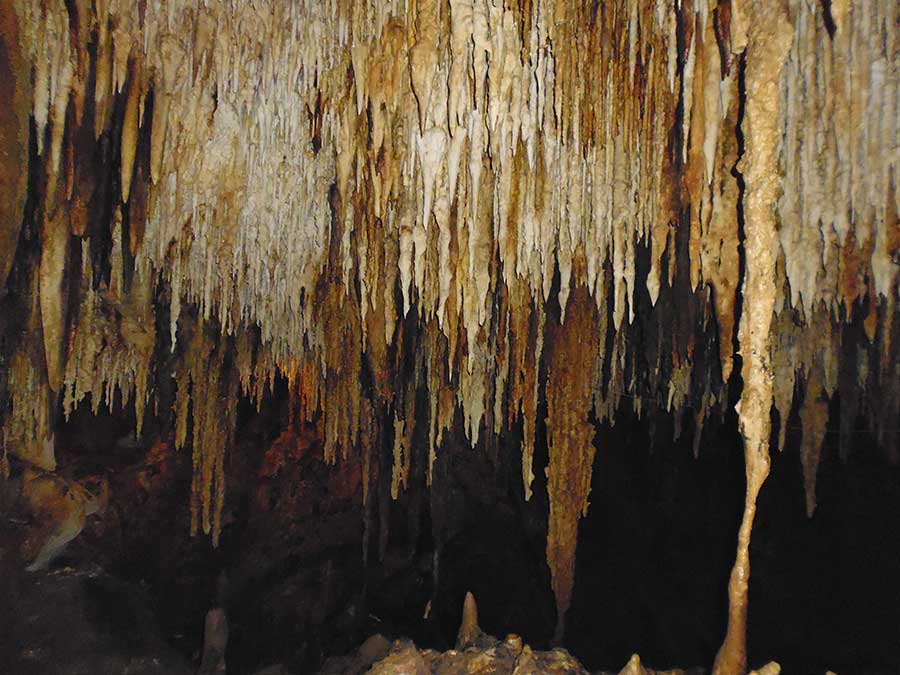 Grotto and Cenote La Canderia some of the stunning stalactites that can be seen