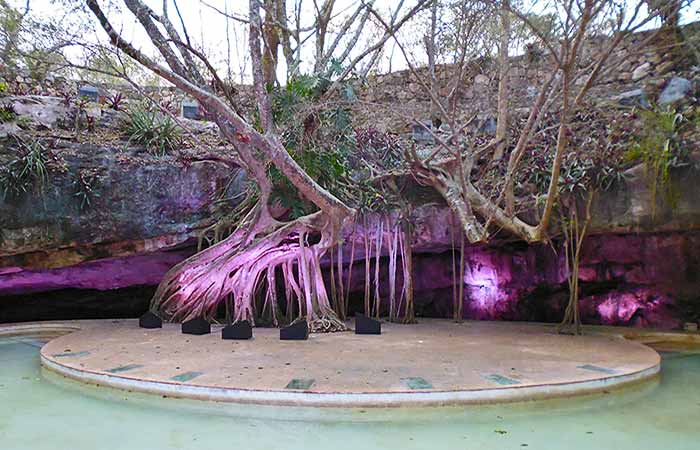 Cenote at Hacienda San Pedro Ochil