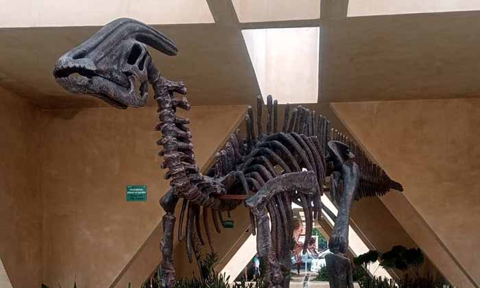 Day trips from Merida to Progreso to see the Dinosaur statue at Progreso Meteorite Museum