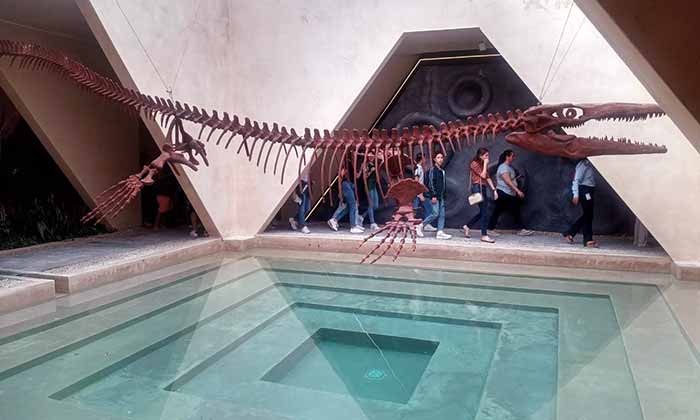 Day trips from Merida to Progreso to see the Dinosaur skeleton at Progreso Meteorite Museum