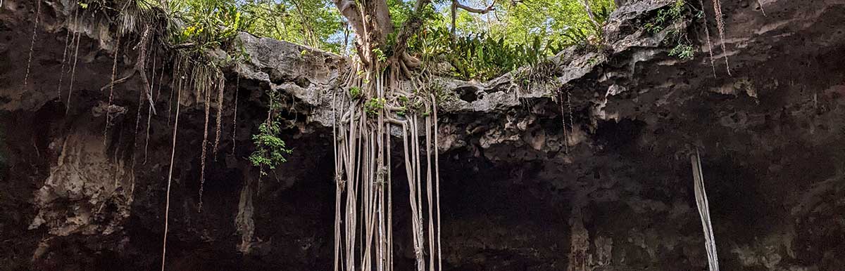 Best Cenotes in the Yucatan