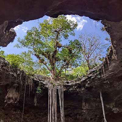 Santa Barbara cenote square image