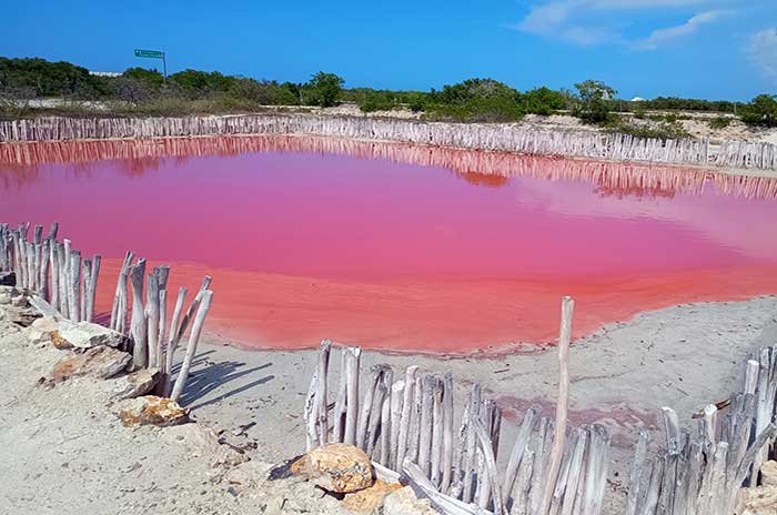 One of the pink lakes at Laguna Rosada near Progreso