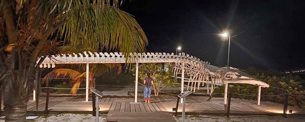 Progreso beach at night - whale skeleton