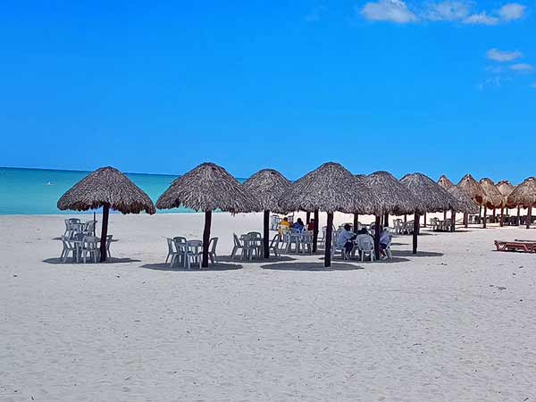 Reasons for visiting Progreso featured