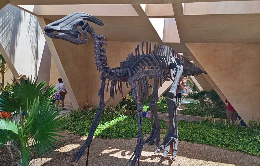 Things to do in Progreso - dinosaur skeleton