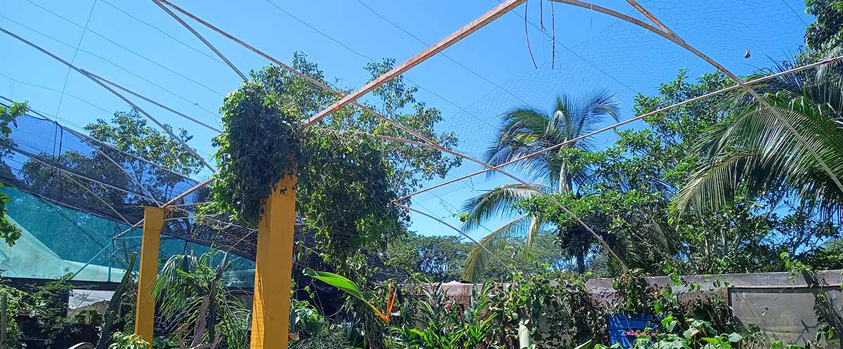 Hurricane Lidia hit Puerto Vallarta - Butterfly Sanctuary roof damage