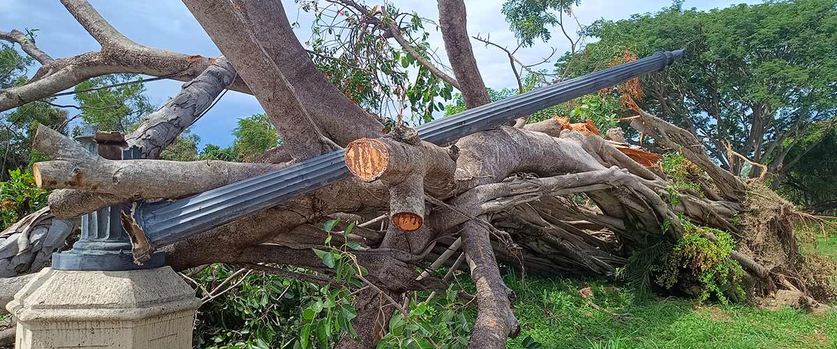 Damage in Puerto Vallarta due to Hurricane Lidia