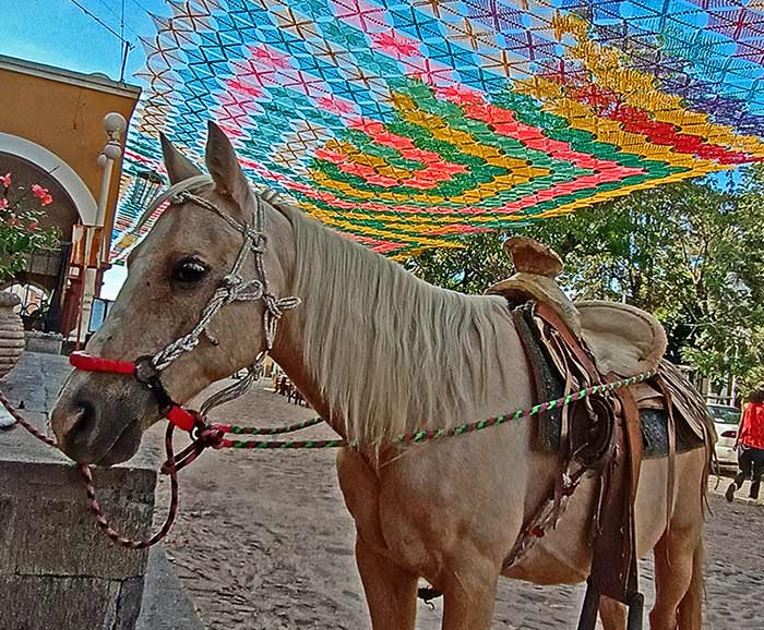 Horse in Etzatlan