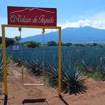 Tequila showing the agave fields and the Tequila volcano