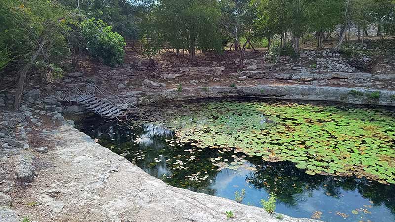 Cenote Xlakah at Dzibilchaltun Mayan Ruins