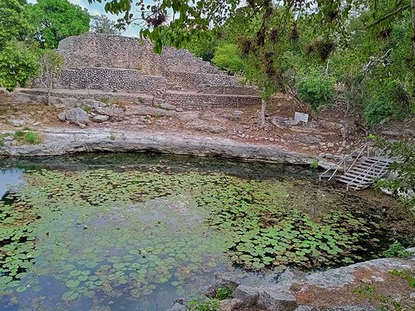 Cenote Xlakah at Dzibilchaltun Mayan Ruins