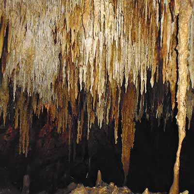 Stunning stalactities at Grotto and Cenote La Candaleria