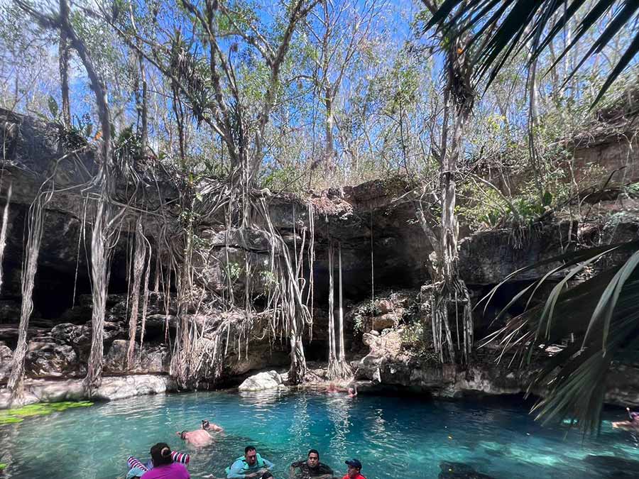 Cenote Xbatun with tree roots