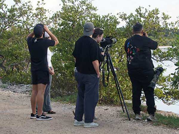 Our birding group on our Sunday trip to Progreso